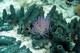 Curacao 04-12 199